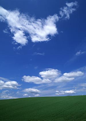 鹿児島で多くの人に選ばれている家族葬