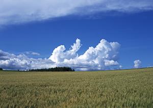 403 Forbiddenエラーの原因と解決策：ウェブサイトのアクセス制限について詳しく解説