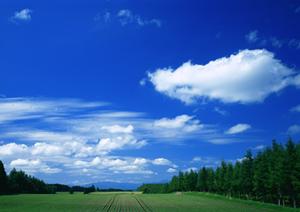 【浜松市中央区】家族葬に最適な富士葬祭 高林の特徴と安心の葬儀プラン