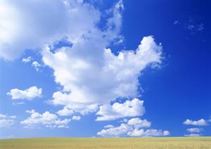 静岡県浜松市中央区にある家族葬のタクセル葵西：安心・低価格の家族葬専門斎場の詳細ガイド