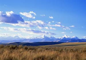 静岡県内の安心・低価格な葬儀サービスの全て：家族葬から直葬までを網羅