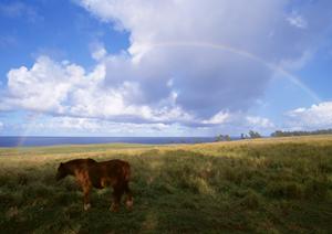 静岡県富士市で信頼できる葬儀サービス【富士葬祭 富士原田】の詳細ガイド