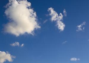 【公式情報】ティア野田の葬儀場詳細と特徴｜安心の家族葬・一般葬を提供