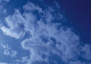 静岡県藤枝市にある安心の葬儀サービス：富士葬祭 藤枝城南の詳細紹介と特徴