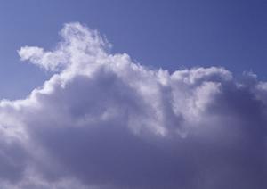 【2025年最新】川越で信頼できる葬儀サービスを選ぶための完全ガイド